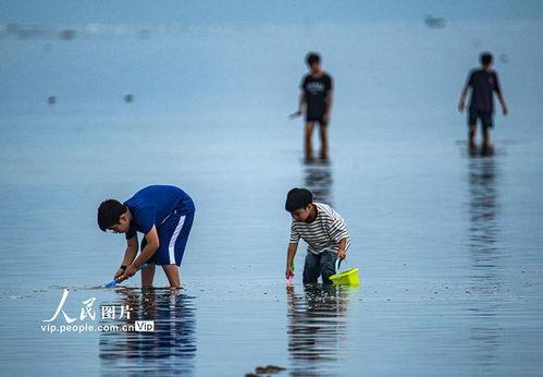 海南赶海爆料视频大全,揭秘海洋宝藏的奇妙之旅  第3张